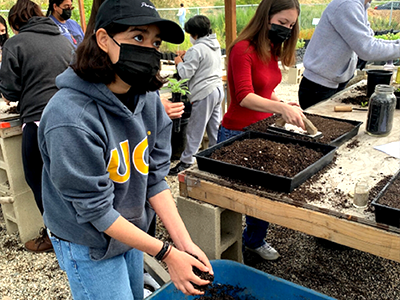 Boyle Heights YSC participant Alexandra Granados learning about soil management during her intership with North East Trees Nursery