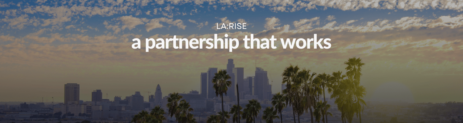 LA:RISE, a partnership that works: text overlaid on an image of the Downtown Los Angeles city skyline at sunset with palm trees in the foreground